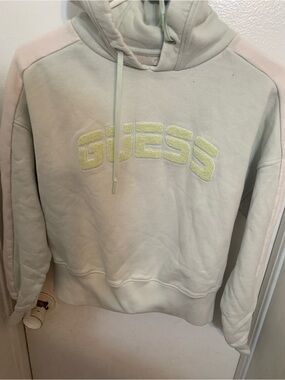 Guess Pastel Mint and Pale Pink Embroidered Logo Hoodie